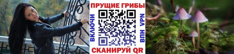сайты даркнета состав  Радужный  Псилоцибиновые грибы ЛСД 